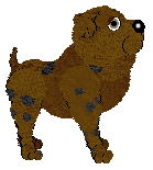 EC's That's Some Bullsheep — “Rebuke”