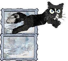 Calluna's Photoflash Bomb — “Toluene”