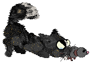 Calluna's Photoflash Bomb — “Toluene”