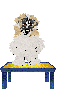 Cirrutopia's Thunder Road — “Thunder”