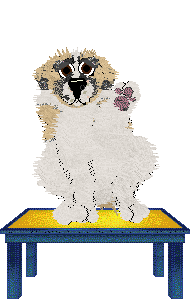 Cirrutopia's Thunder Road — “Thunder”