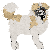 Profile image of Cirrutopia's Thunder Road