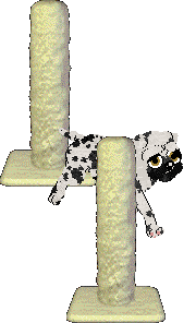 Amenity/King's Lord Puggington Wrigglesworth III — “Puggington”