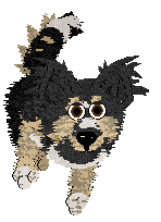 Cirrutopia's Supersucureness @ Mockingbird — “Supersecureness”