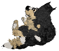 Cirrutopia's Supersucureness @ Mockingbird — “Supersecureness”