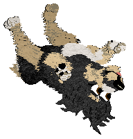 Cirrutopia's Supersucureness @ Mockingbird — “Supersecureness”