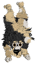 Cirrutopia's Supersucureness @ Mockingbird — “Supersecureness”