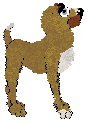 Perfume/King's Faire La Grasse Matinée — “Problème”