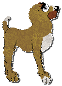 Profile image of Perfume/King's Faire La Grasse Matinée