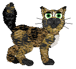 Profile image of Sungraze's Keep Me Searchin'