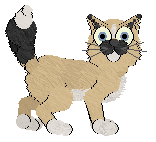 King/Witz's Fancy Fish — “Seja”