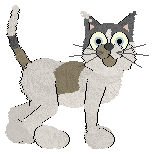 Witz's Front & Center — “Selvadorada”