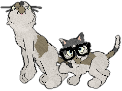 Profile image of Witz's Front & Center