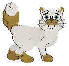 Cargo/Witz's Morning Cheer — “Sunrise”