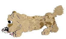 Funfetti/Poppyhill's Breakfast of Tiffins — “Touton”