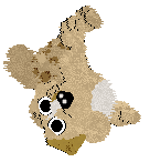 Funfetti/Poppyhill's Breakfast of Tiffins — “Touton”