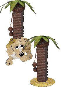 Funfetti/Poppyhill's Breakfast of Tiffins — “Touton”