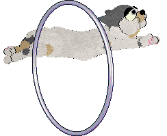 Calluna's Owl House — “Amity”