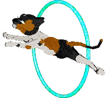 Calluna's Sweet Sorrento Moon — “Portia”