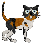 Profile image of Calluna's Sweet Sorrento Moon