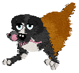 Sungraze's Queen Of Potatoes at ZCP — “Jumblebob”