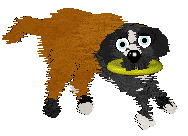 Sungraze's Queen Of Potatoes at ZCP — “Jumblebob”