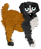 Profile image of Sungraze's Queen Of Potatoes at ZCP