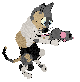 Cargo/Calluna's She Sells Sea Shells — “Seychelles”