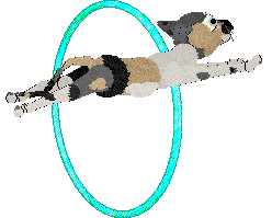 Cargo/Calluna's She Sells Sea Shells — “Seychelles”