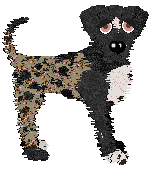 Funfetti Among Bamboo Shadows at Ephemera — “Driftrose”