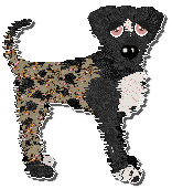 Profile image of Funfetti Among Bamboo Shadows at Ephemera