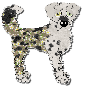 Profile image of Funfetti Celestial Whispers at Ephemera