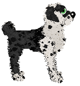 Funfetti Counterflow Concerto at Ephemera — “Umbralis”