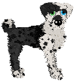 Funfetti Counterflow Concerto at Ephemera — “Umbralis”