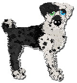 Profile image of Funfetti Counterflow Concerto at Ephemera