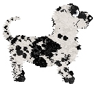 Perfume Of Dreams — “Baby Hazy”