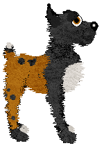 EC's Self Proclaimed Saint — “Jackie”