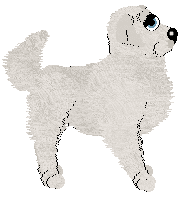 Mockingbird/Perfume Harvest Celebration — “Mooncake”