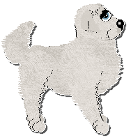 Profile image of Mockingbird/Perfume Harvest Celebration