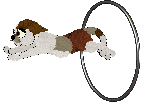 Witz Piña Ananas — “Pineapple”