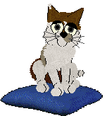 Witz Piña Ananas — “Pineapple”