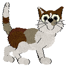 Witz Piña Ananas — “Pineapple”