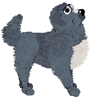 Mockingbird's Shine On at Cirrutopia — “Neon”