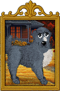 Profile image of Mockingbird's Shine On at Cirrutopia