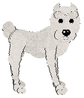 Mockingbird's Hi Ho Silver at Mythic Silence — “Silver”