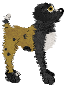 EC's Great Train Robbery — “Robbie”