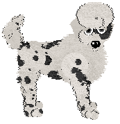 Lex's Drunk and Disorderly at Mythic Silence — “Divider”