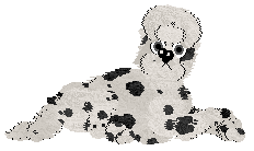 Lex's Drunk and Disorderly at Mythic Silence — “Divider”