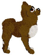 Pachelbel's Start The Booking — “Travel”