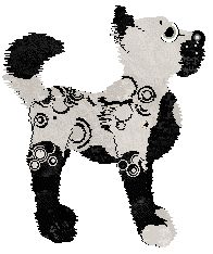 Shazz/Eli's Will You Look Into The Mirror — “Insanum”